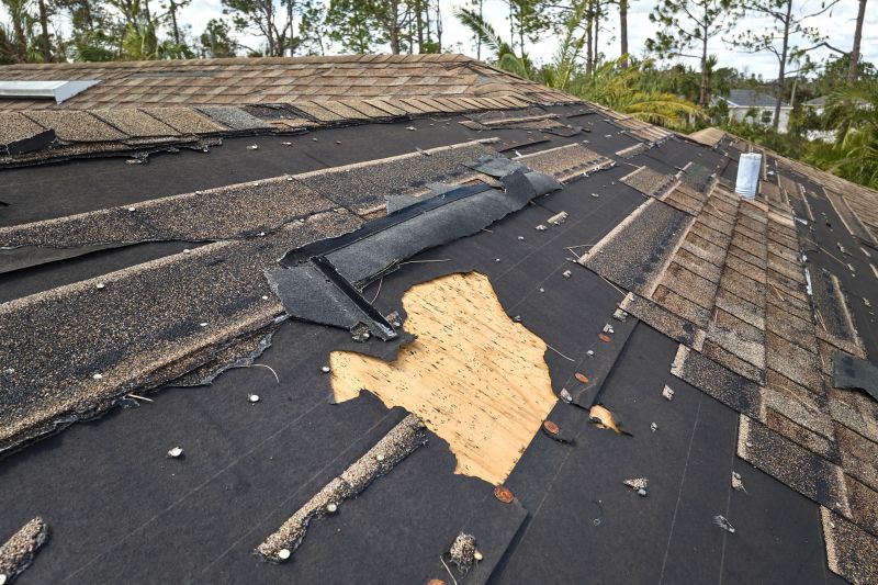 Repair Expert Inspecting Roof
