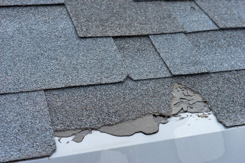 Damaged Roof Repair